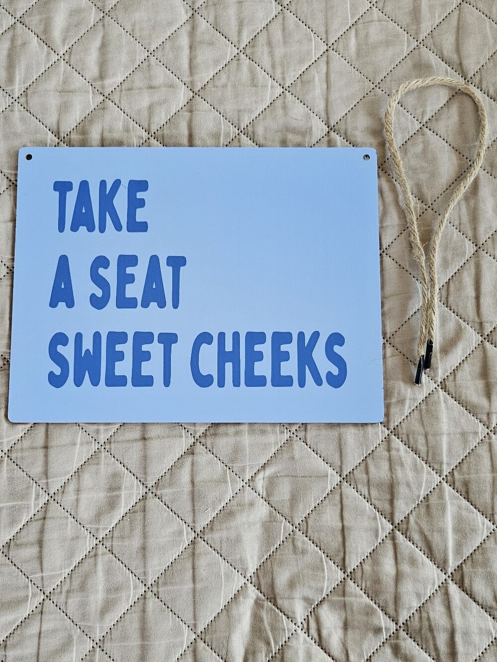 Blue wooden sign with the words 'TAKE A SEAT SWEET CHEEKS', Funny bathroom Sign